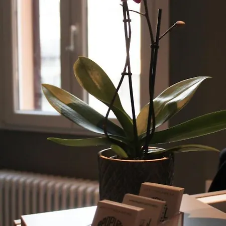 People Travel Guest house Bologna