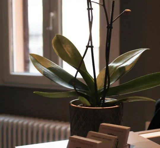 People Travel Casa de hóspedes Bolonha